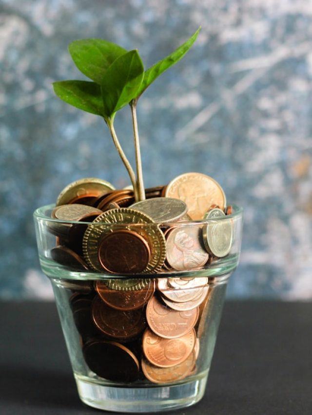 cropped photo 1579 1719141001