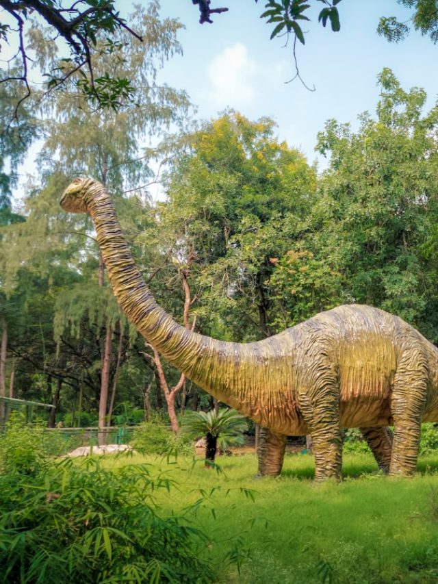 Asteroid responsible for dinosaur extinction also erased another major species