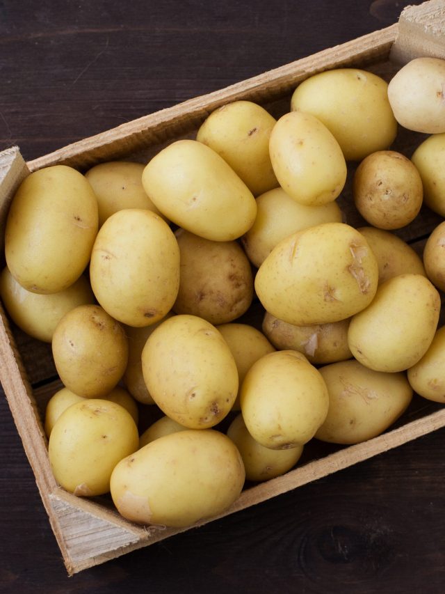 কিলো কিলো আলু খেলেও বাড়বে না ওজন, খেতে হবে এই উপায়ে