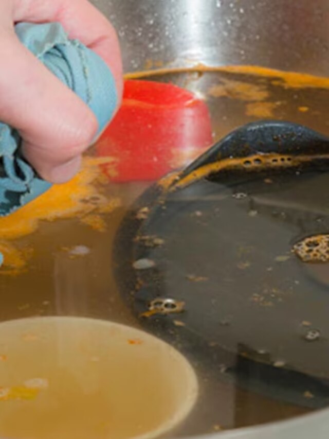 রান্নাঘরের বেসিনে জল উপচে পড়ছে, ইনোর এই ট্রিকসে করুন ক্লিন