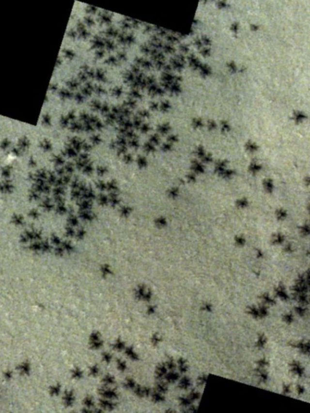 ‘Hundreds of Black Spiders’: Scientists thought they discovered life on Mars but here’s what they really are