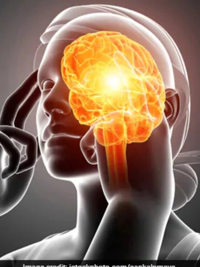 সন্তান ফার্স্ট হবেই, স্মৃতিশক্তি বাড়াতে খাওয়ান এই জিনিস