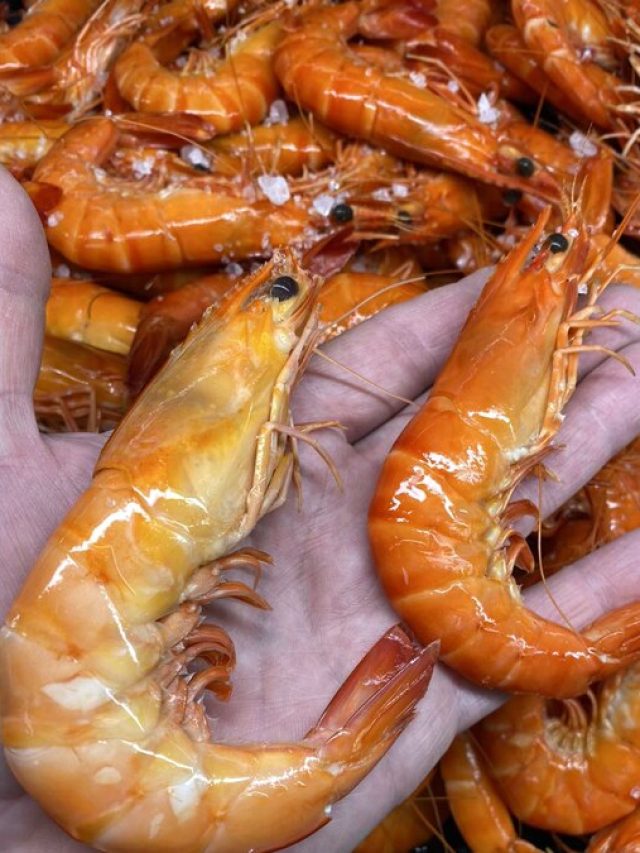 এভাবে চিংড়ি খেলে মৃত্যুও হতে পারে! কীভাবে পরিষ্কার করবেন?