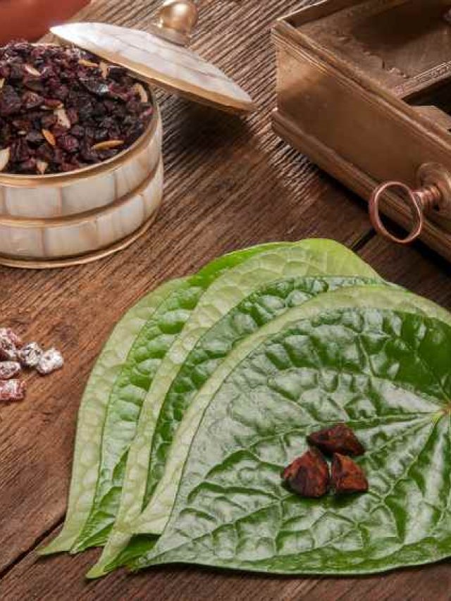 পানের সঙ্গে চিবোন এই জিনিস, রাতে খেলা হবে!