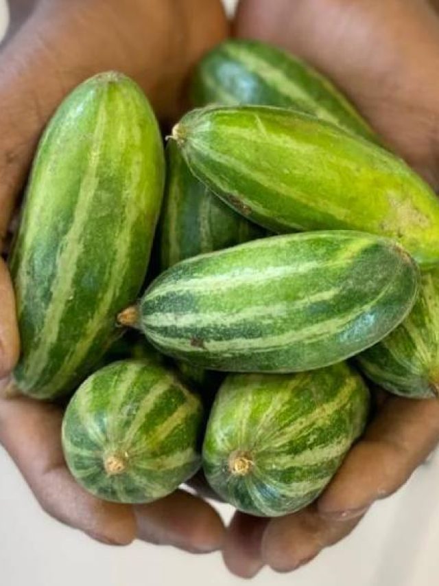 বলুন তো পটলের ইংরেজি কী? দেখি কত শিক্ষিত আপনি