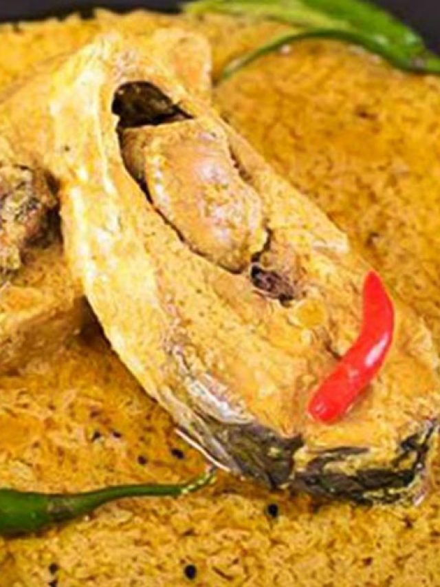 এই বর্ষায় পাতে পড়ুক ইলিশ মালাইকারি, এভাবে রান্না করেছেন কখনো?