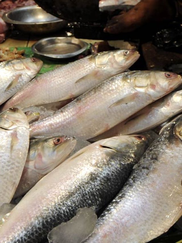 খাঁটি ইলিশ খেলে পাবেন এই উপকার, চমকে যাবেন!