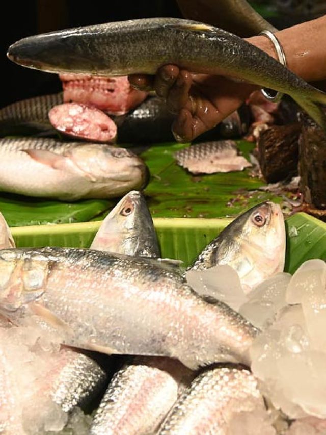 এই ৫ জিনিস দেখে কিনুন, খাঁটি ইলিশ চিনুন