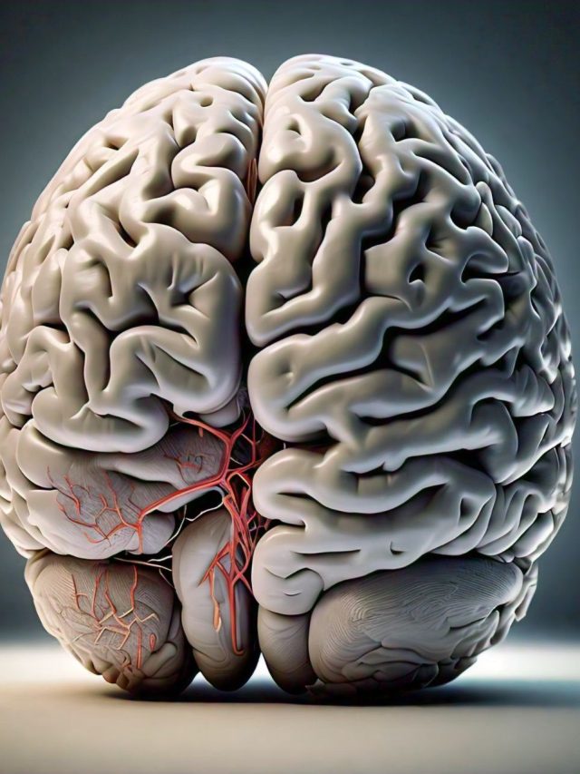 বুদ্ধি ১০০ গুণ বাড়ায় এই পাতা, বুড়ো বয়সেও স্মৃতিশক্তি থাকে অটুট