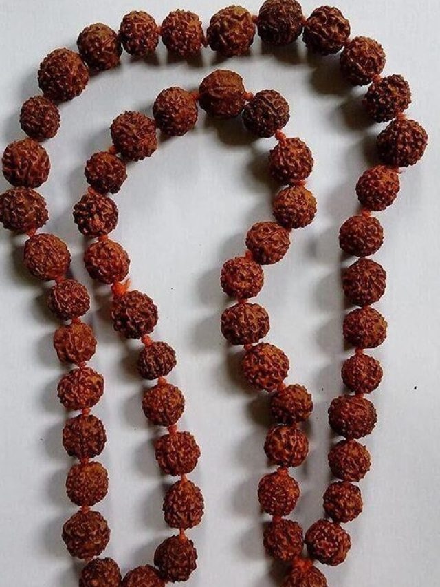 রুদ্রাক্ষ পরলে উন্নতি পাকা, কাদের অবশ্যই পরা উচিত?