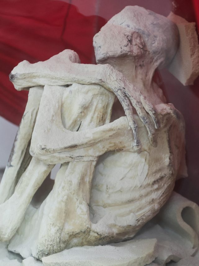 'Mystery deepens': Peru's alien mummies have non-human fingerprints