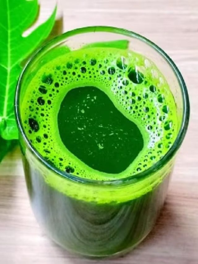 প্লেটলেট হু হু করে বাড়বে এই পাতার রসে, ডেঙ্গু রোগীদের মোক্ষম দাওয়াই