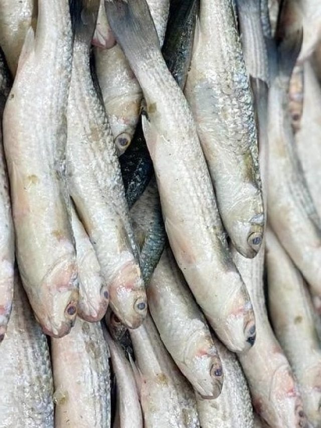 বঁটি লাগবে না, এভাবে কয়েক সেকেন্ডে ছাড়ান মাছের আঁশ