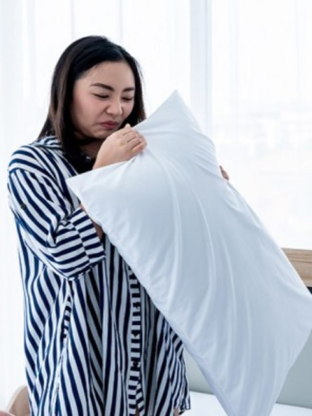 বর্ষায় ঘরের ভ্যাপসা গন্ধতে নাজেহাল? দূর করবে এই ৫ গাছ