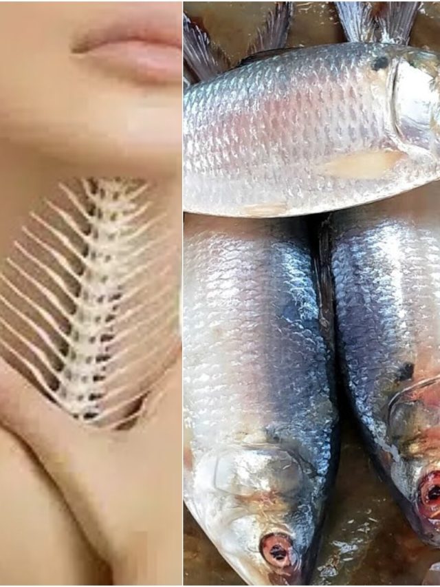 খোকা ইলিশ খেতে গিয়ে গলায় কাঁটা ফুটেছে? জেনে নিন ৫ চটজলদি সমাধান