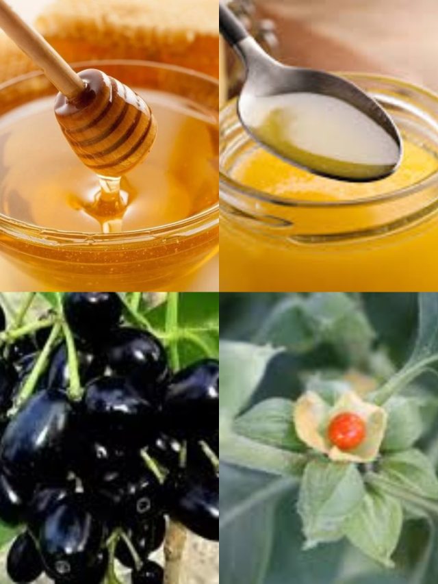 আয়ুর্বেদে এই ১০ খাবারকে অমৃত বলা হয়েছে, শরীর থেকে সব বিষ টেনে নেয়