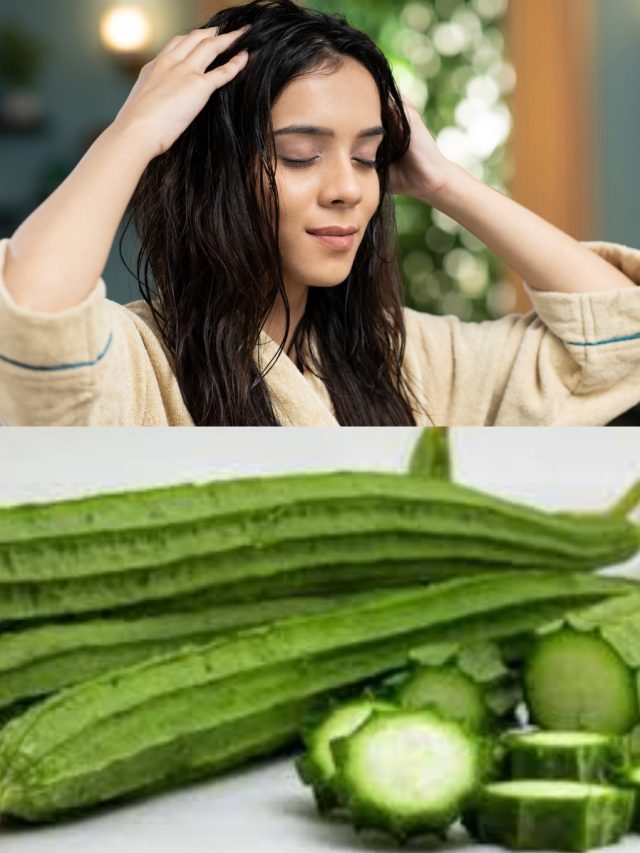 পাকা চুলে কালো করে বয়স ১০ বছর কমিয়ে দেবে, এভাবে লাগান ঝিঙের তেল