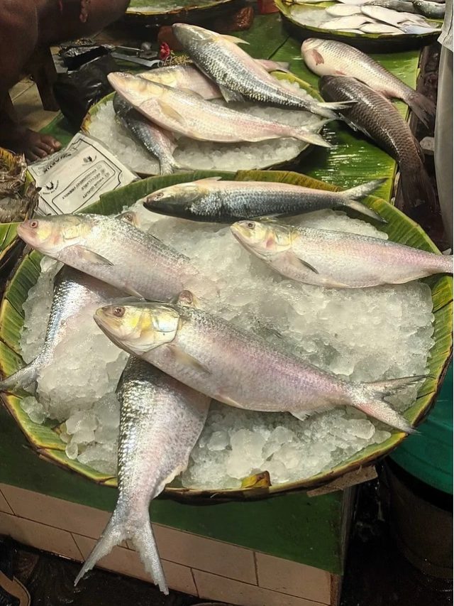 সেরা ইলিশ চিনুন, এই ৫ জিনিস দেখে কিনুন