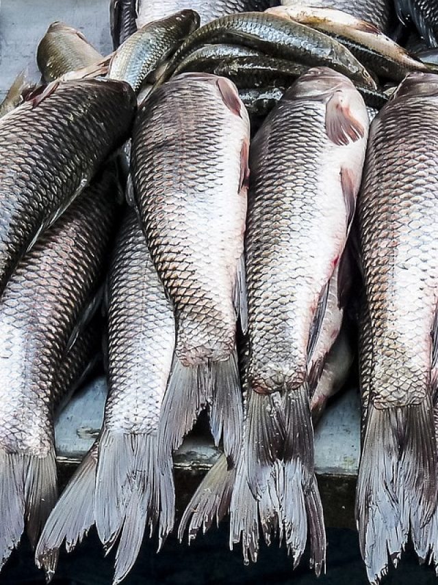 পেঁপের খোসা দিয়েই ছাড়ানো যায় মাছের আঁশ, রইল ট্রিকস