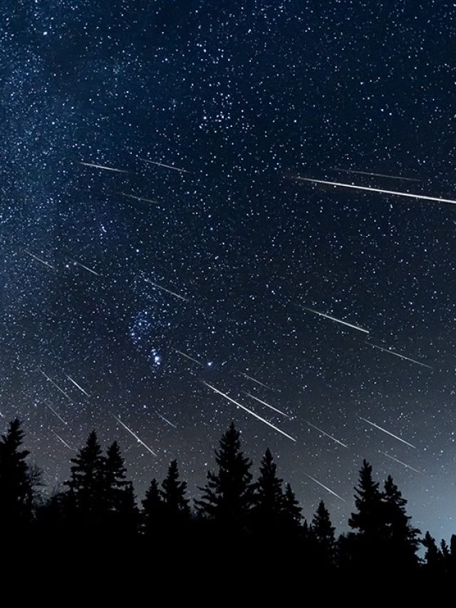 Did the ground shake in New York due to a meteor shower? Here's what NASA has to say