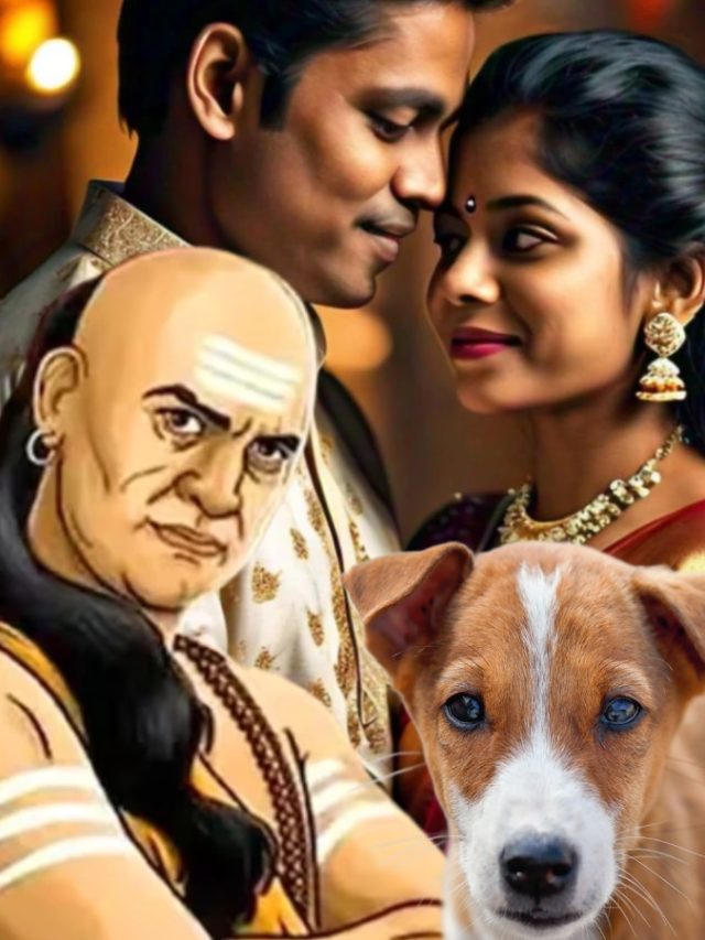 কুকুরের এই গুণ থাকলে মেয়েরা ইম্প্রেস হবেই, রইল চাণক্যের টিপস