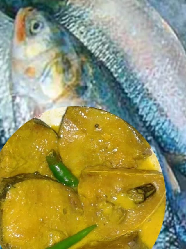 বর্ষায় ইলিশ উল্লাস, এভাবে রান্না করুন ঠাকুরবাড়ির এই রেসিপি