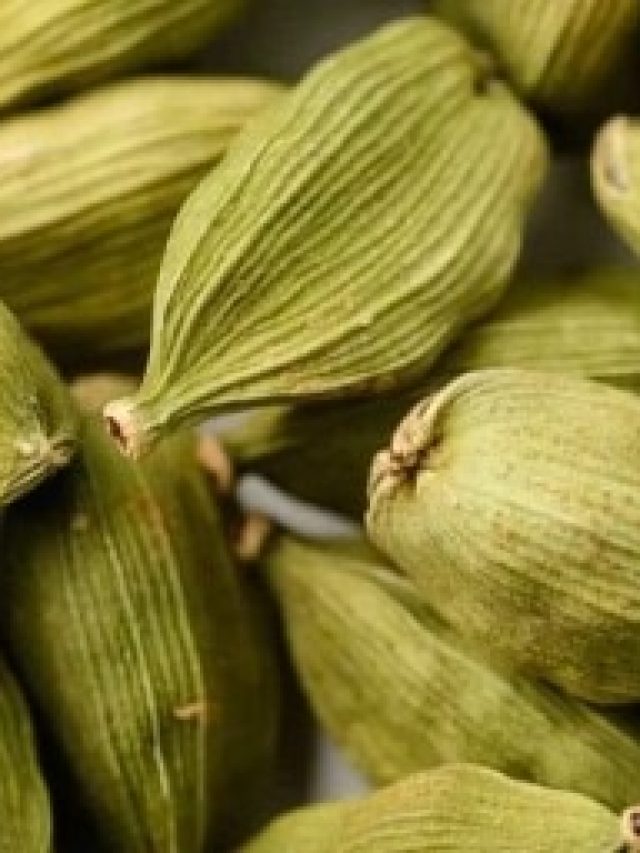 পকেটে এক টুকরো এলাচ রাখুন, খেলা জমে যাবে