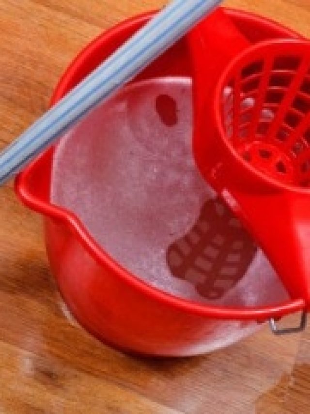 ঘর মোছার জলে  ফেলুন এই মশলা, উপচে পড়বে সুখ