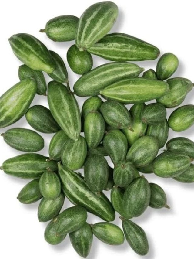 পটলের সঙ্গে পটলের বীজও খেয়ে ফেলছেন, জানেন কী হচ্ছে শরীরে?