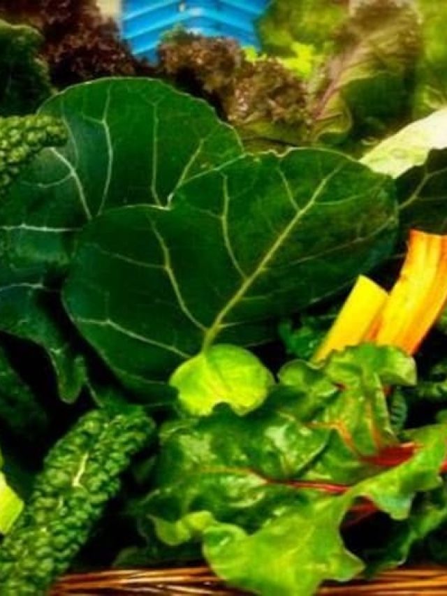 এগুলো সবই দারুণ উপকারী সব্জি, কিন্তু বর্ষাকালে বিষে পরিণত হয়