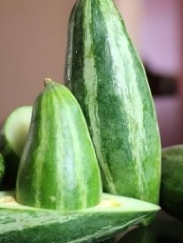 পটলের বীজ থেঁতো করে এভাবে খান, বুড়ো বয়সেও থাকবেন ফুরফুরে