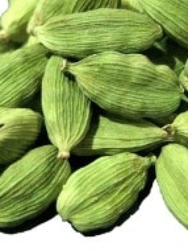 মানিব্যাগে জাস্ট ৩টে এলাচ রেখে দিন,  টাকা আসতেই  থাকবে শুধু