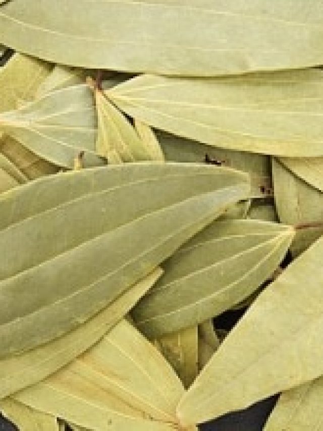 রোজ রাতে কয়েকটি তেজপাতা, শুরু  হয়ে যাবে খেলা