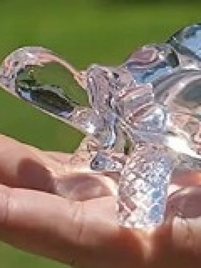 ঘরের এদিকে ক্রিস্টাল কচ্ছপ রাখলেই সুখ-টাকা উপচে পড়বে