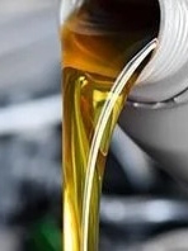 ঘর মোছার জলে  মেশান এই তেল,  আর পিঁপড়ে হবে না ঘরে