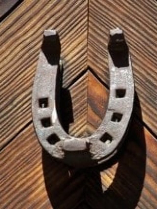 ঘরের দরজায় ঝুলিয়ে দিন ঘোড়ার নাল,  সুখ-টাকা আসতেই থাকবে