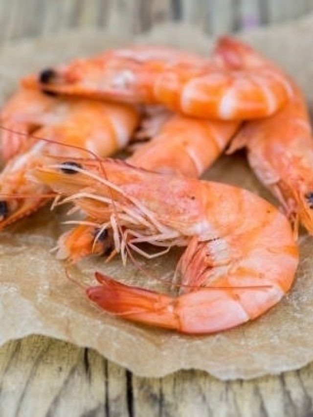 ইস্টবেঙ্গলের প্রিয় এই চিংড়ি রেসিপি, মোহনবাগানিরা খেয়েছেন?