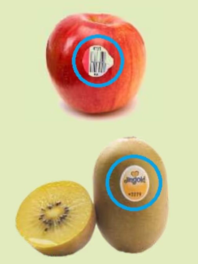 ফলের ওপর এই স্টিকারগুলি কেন থাকে? না জানলে এখনই জেনে সাবধান হোন!