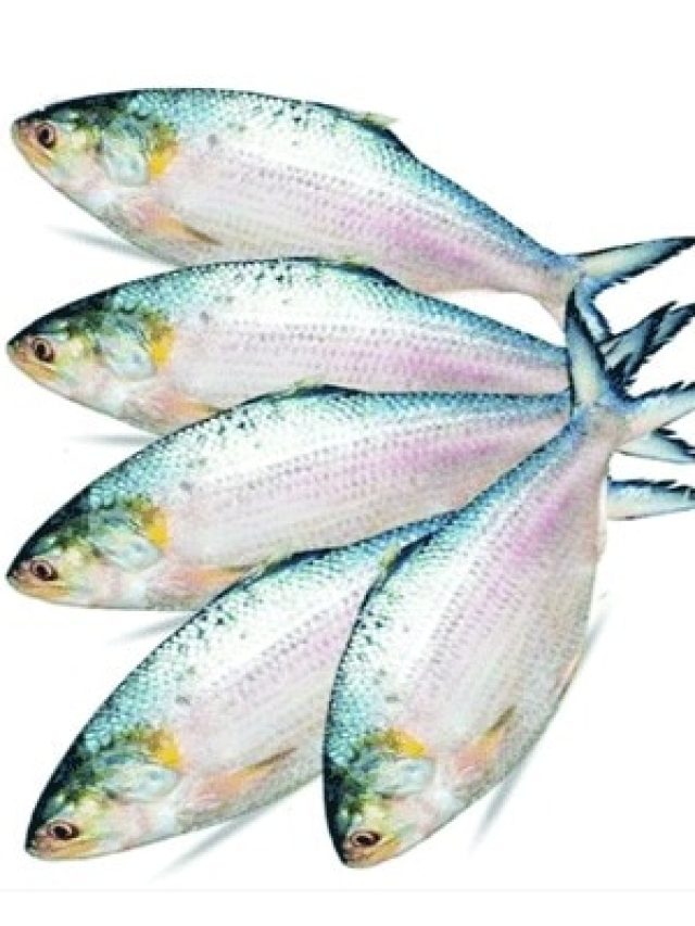 সপ্তাহে কটা ইলিশ খাওয়া নিরাপদ, না জেনে বিপদ বাড়াবেন না