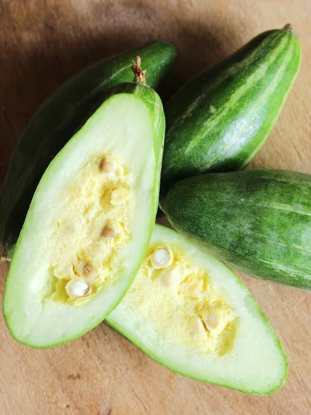 ফেলবেন না, পটলের বীজ এভাবে খেলে বুড়ো বয়সেও থাকবে তেজ