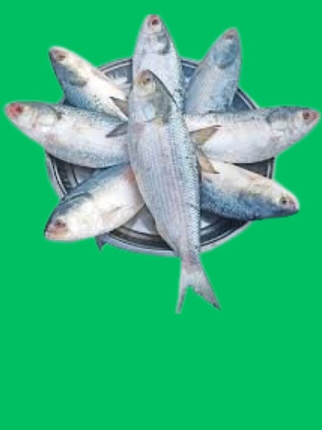 বাড়িতে ইলিশ এভাবে রাখলে সারা বছর খেতে পারবেন, রইল দুর্দান্ত ট্রিকস