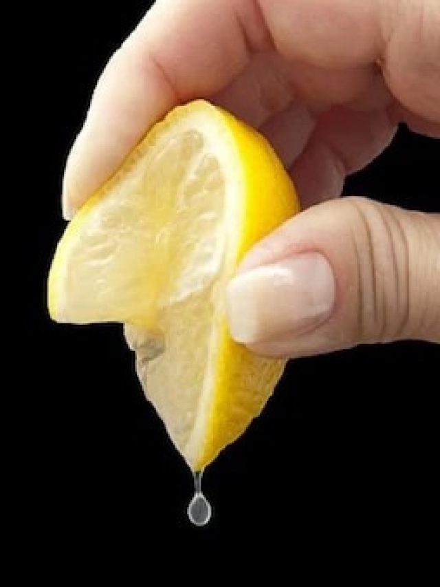 মাছ-ডিমের সঙ্গে লেবু খাচ্ছেন চিপে? পেটে কী তৈরি হচ্ছে জানেন