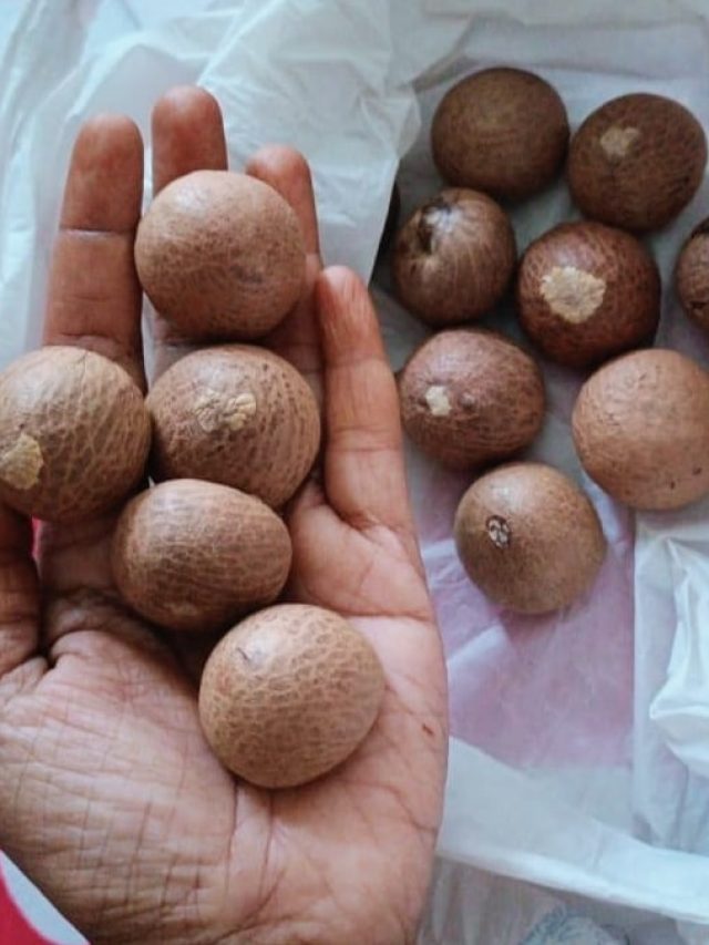 পকেটে রাখুন ২টো সুপারি, খেলা হবে!