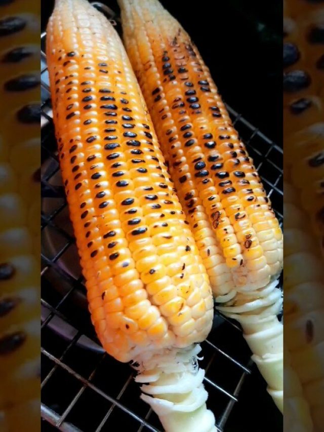 লেবু-নুন মাখিয়ে ভুট্টা পোড়া খেতে দারুণ, কিন্তু কারা একেবারেই খাবেন না?