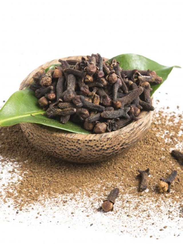 মুঠো মুঠো লবঙ্গ হবে বাড়ির গামলাতেই, সহজ টেকনিকে করুন চাষ