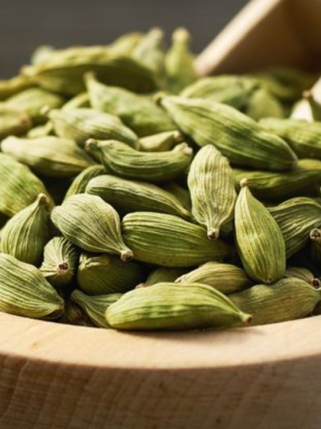 ঘরের পুরনো ফুটোফাঁটা বালতিতে 'লক্ষ টাকার' এলাচ চাষ, সহজ ট্রিক