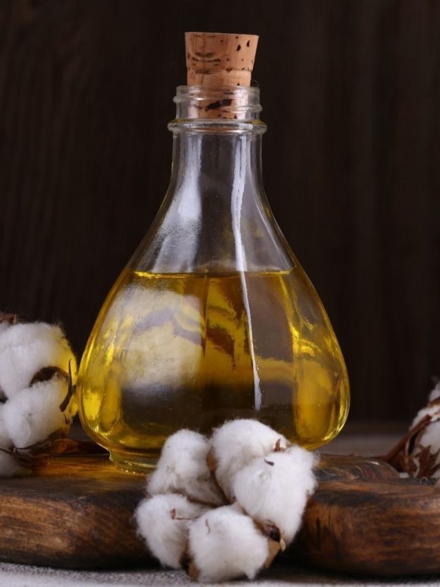 এই রান্নার তেলে শরীরের দফারফা হয়! সবচেয়ে ক্ষতি হয় কীসে?