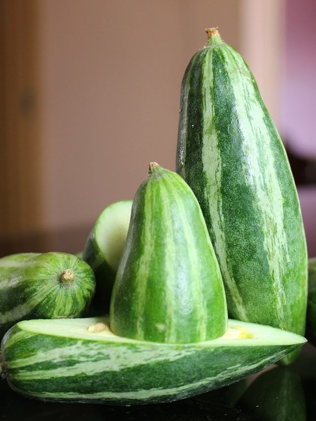 সস্তার পটল খেলেই কমবে ওজন, লাগাতার কদিন খেলে মিলবে সুফল?