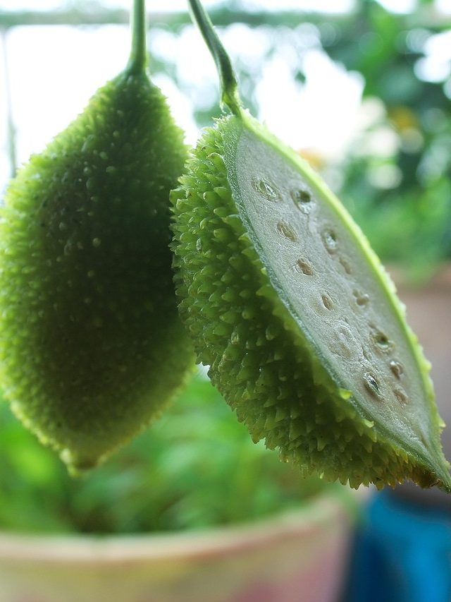 শরীরে রক্ত বাড়বে হু হু করে, খেতে হবে সস্তার এই সবজি