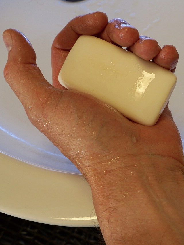 বর্ষায় দ্রুত গলছে সাবান? এই ট্রিকসে রাখুন এক্কেবারে খটখটে